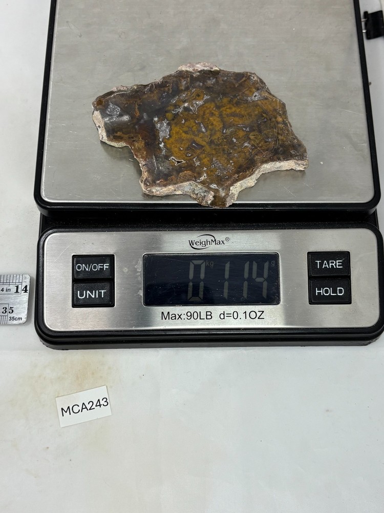 Mexican Cathedral Agate Slab Cabbing Lapidary Combo Ship Avail