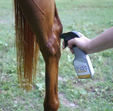 ABSORBINE Silver Honey Spray