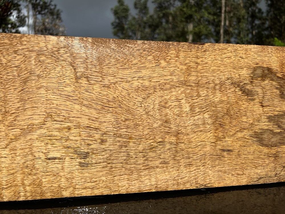 Hawaiian Curly Mango Board #12180