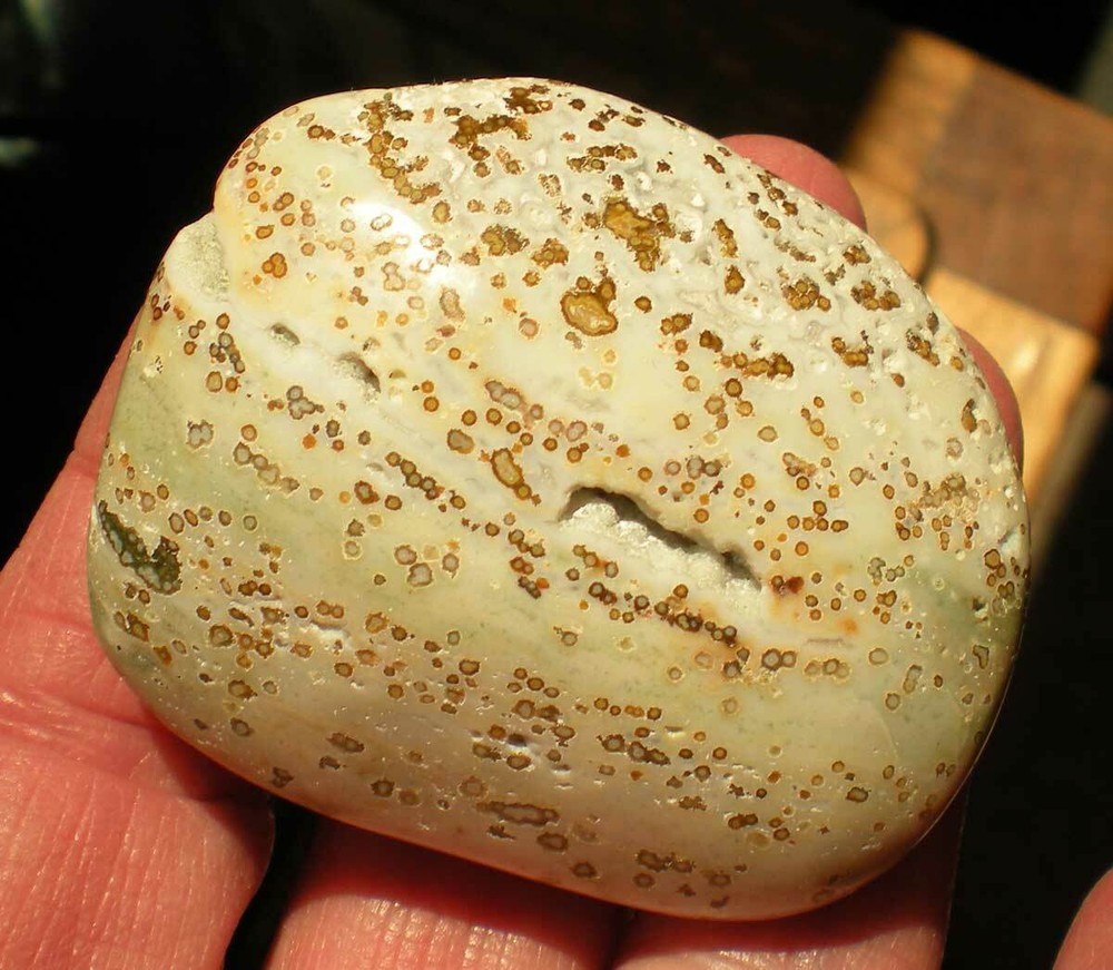 Ocean Jasper Palm Stone sc687l