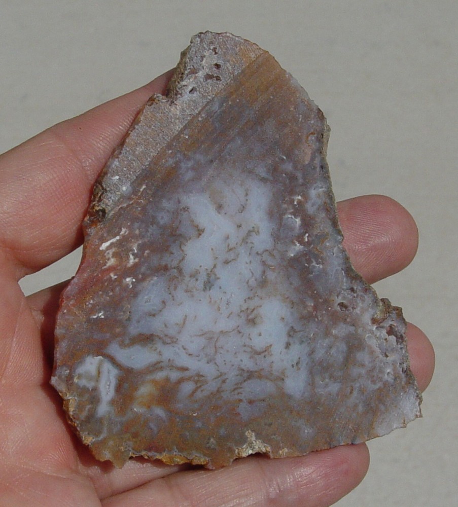 Gold Moss Agate Lapidary Slab 1486