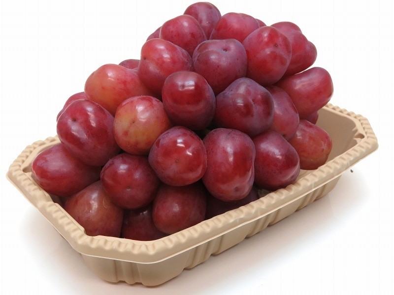 Fruit Pack (Regime) M, Earth Color, 100 pcs/bag