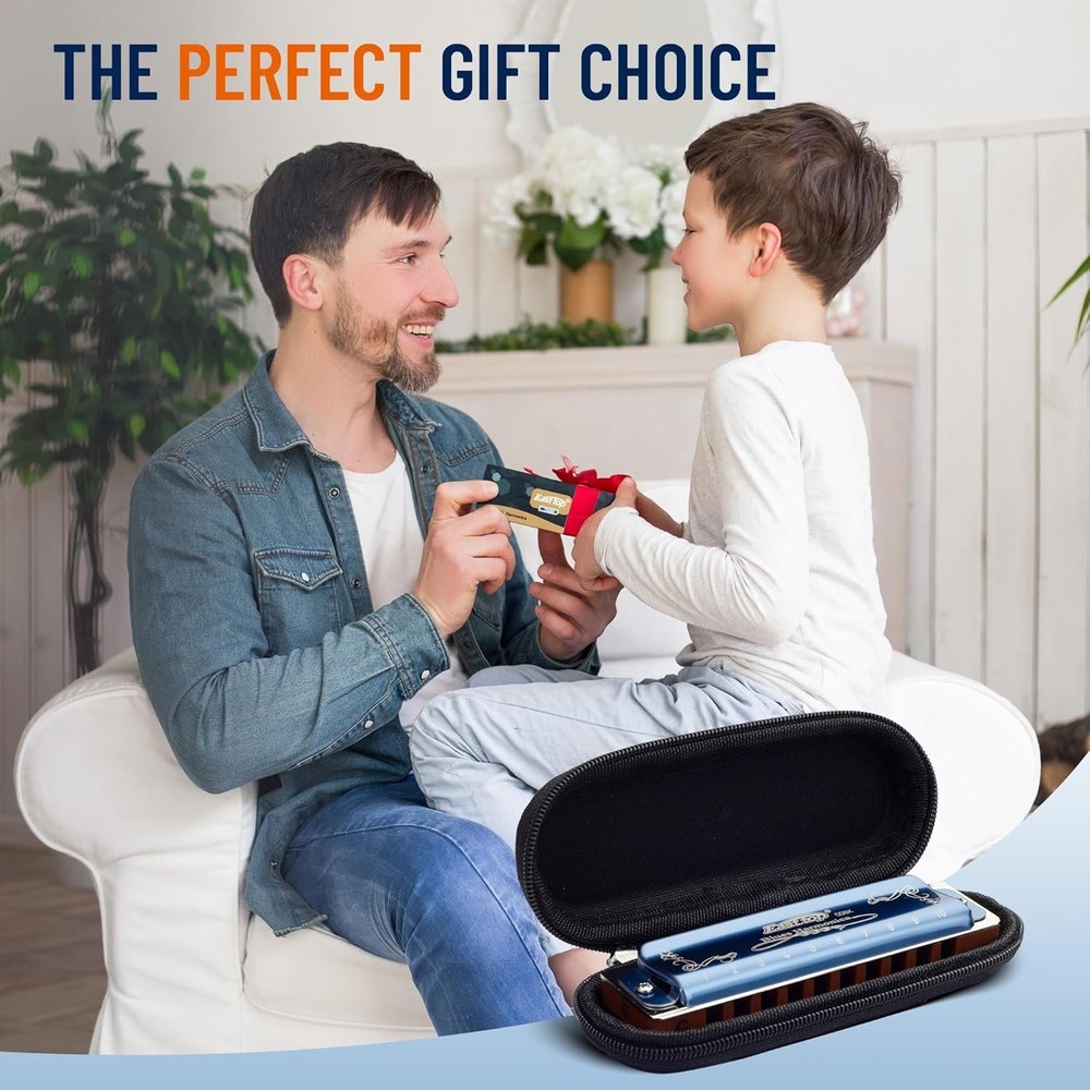 Professional Diatonic Harmonica in Ab Key with Blue Case
