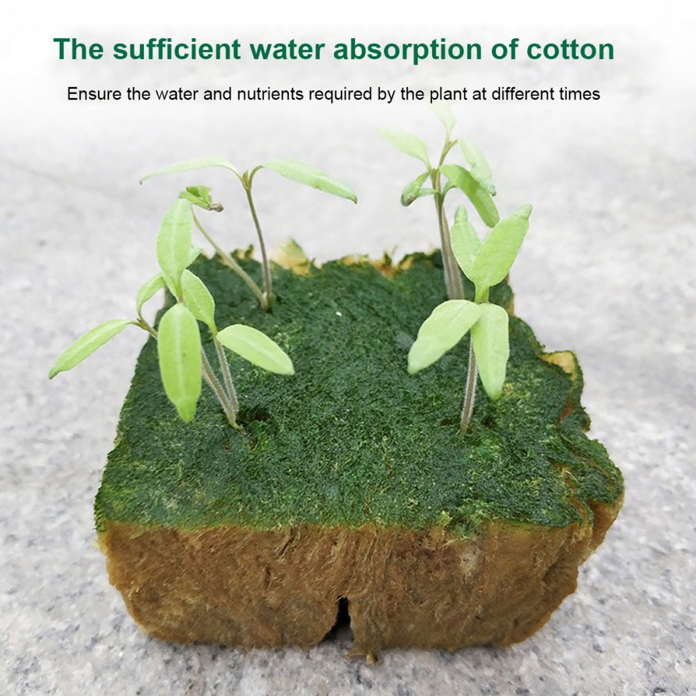 8 Pcs Hydroponoic Growing System Soilless Cultivation Planting Wool Block