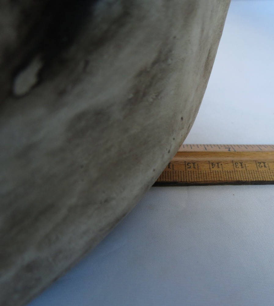 Large Heavy Cement Like Plaster Skull Skeleton Head Halloween