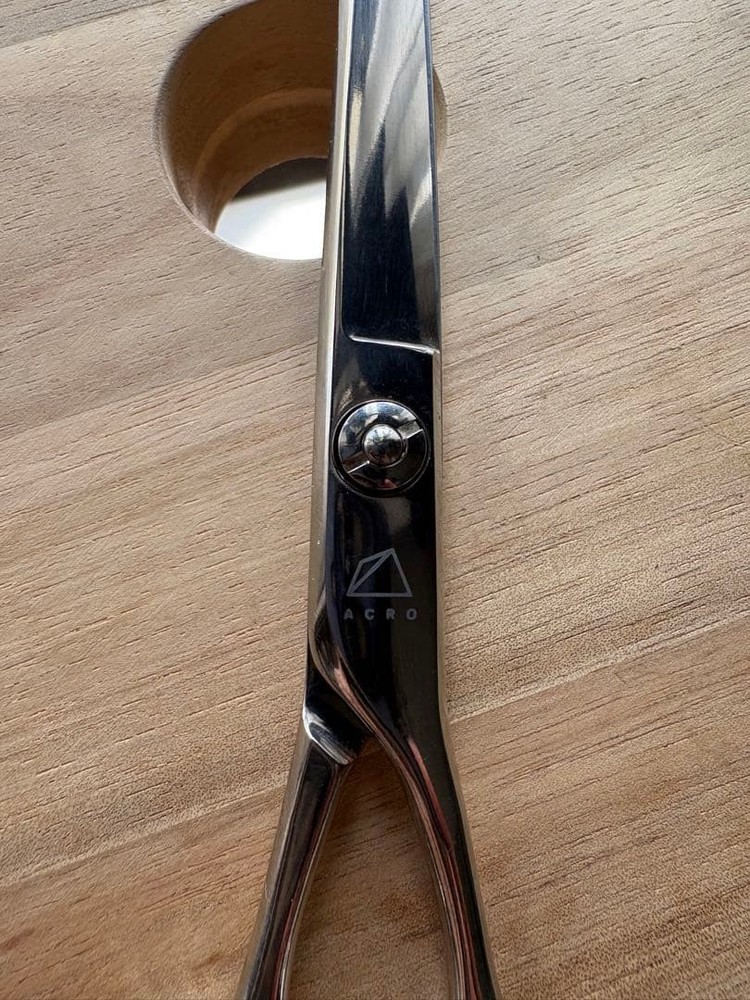 Mizutani Acro Scissors