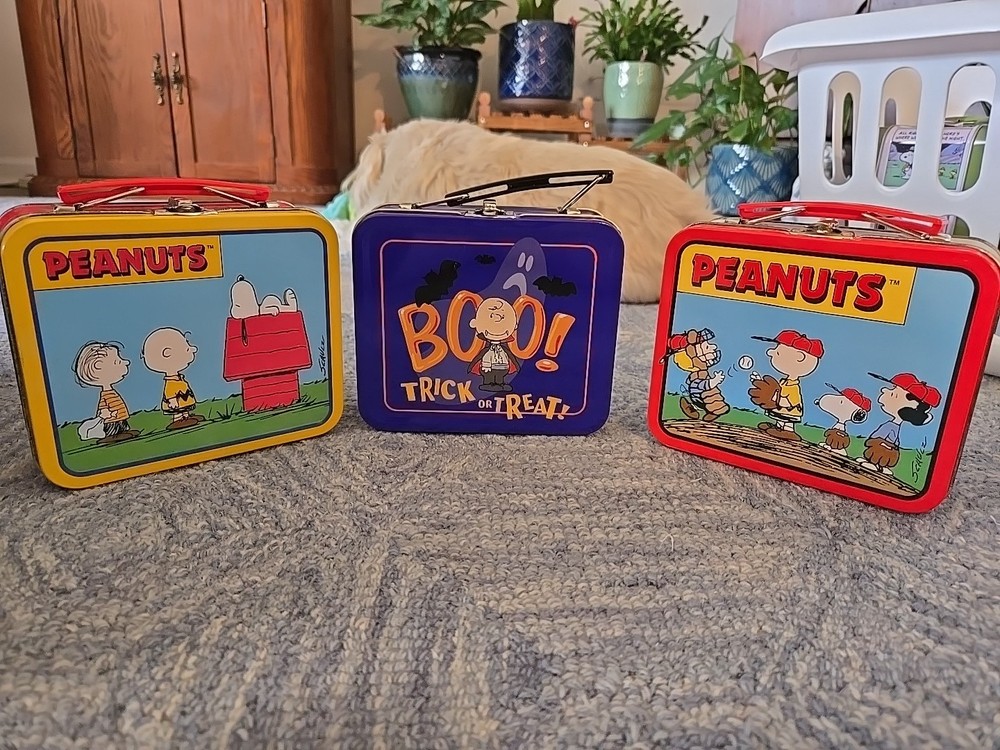 Peanuts Mini Lunchboxes Set Of 3