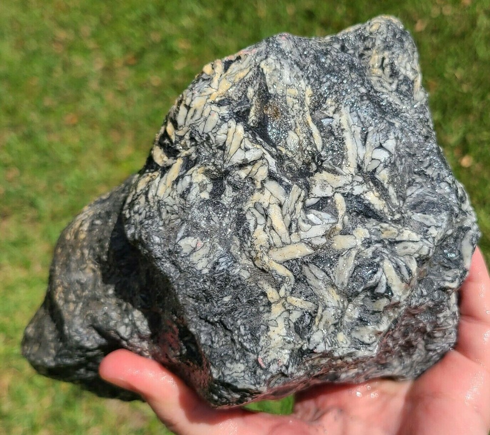 PINOLITH LAPIDARY ROUGH FROM AUSTRIA 8LB 1.3OZ