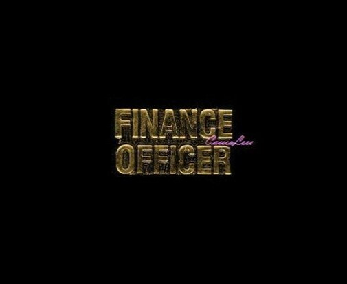 Finance Officer + a custom promo pin