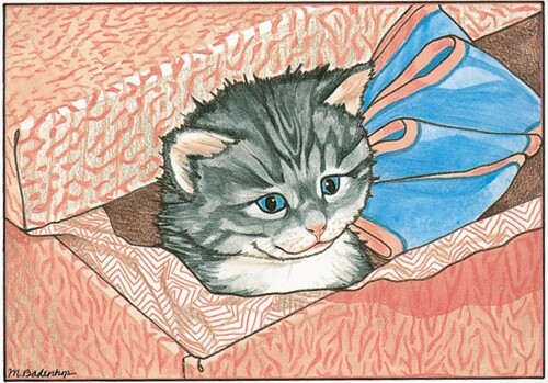 Cat Tabby Blank Note Card