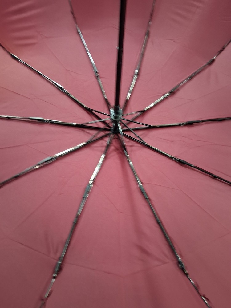Red Double Canopy Automatic Umbrella with Curved Wood Handle
