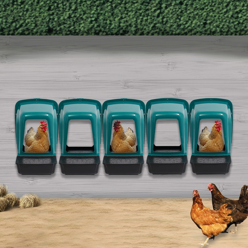 Plastic Nesting Boxes Eggs Chicken Nesting Box Case For Chicken Coops Laying