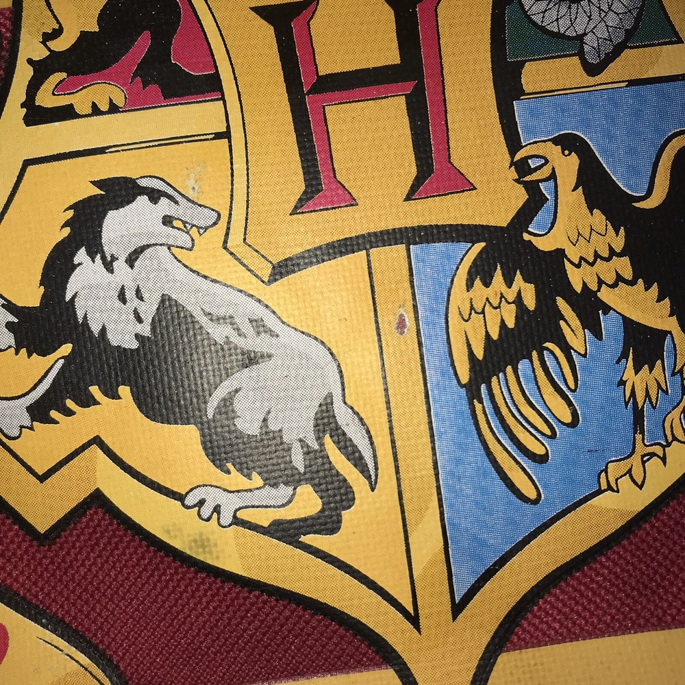 Rare Bioworld Harry Potter Hogwarts Backpack/Knapsack