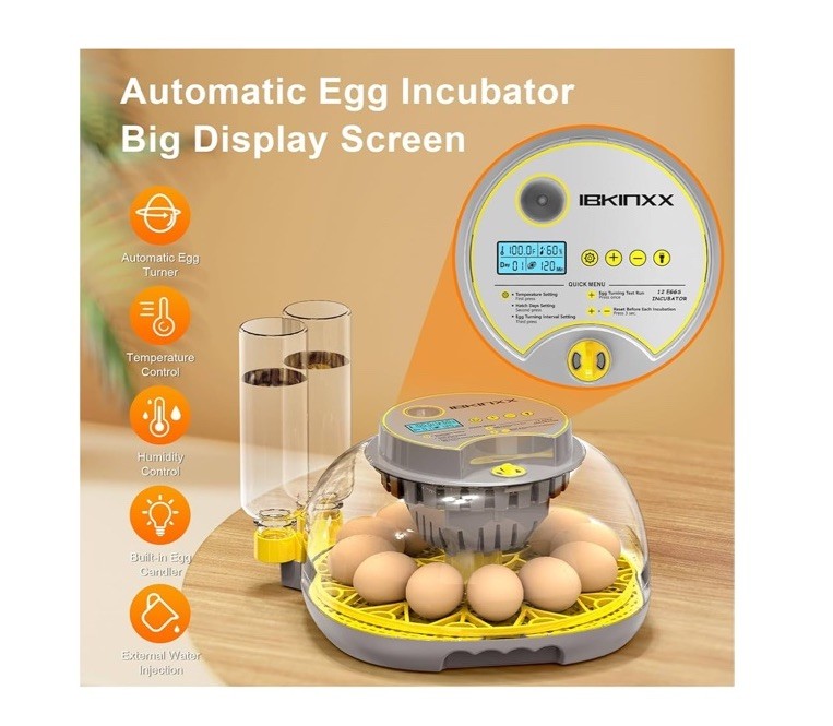 Incubator for Hatching Eggs-12 Egg Capacity, Automatic Egg Turner, Temperatur...