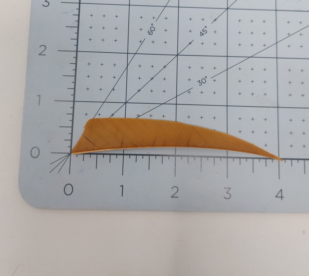 100 Pack Gateway Feathers 4" Right Wing: Shield Desert Brown 400RSSDB-100