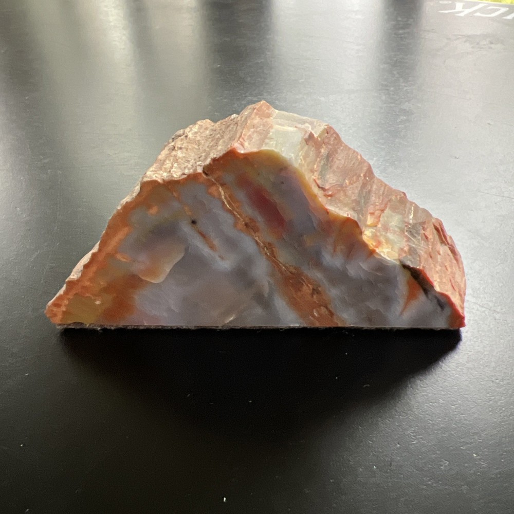 petrified wood slab Polished