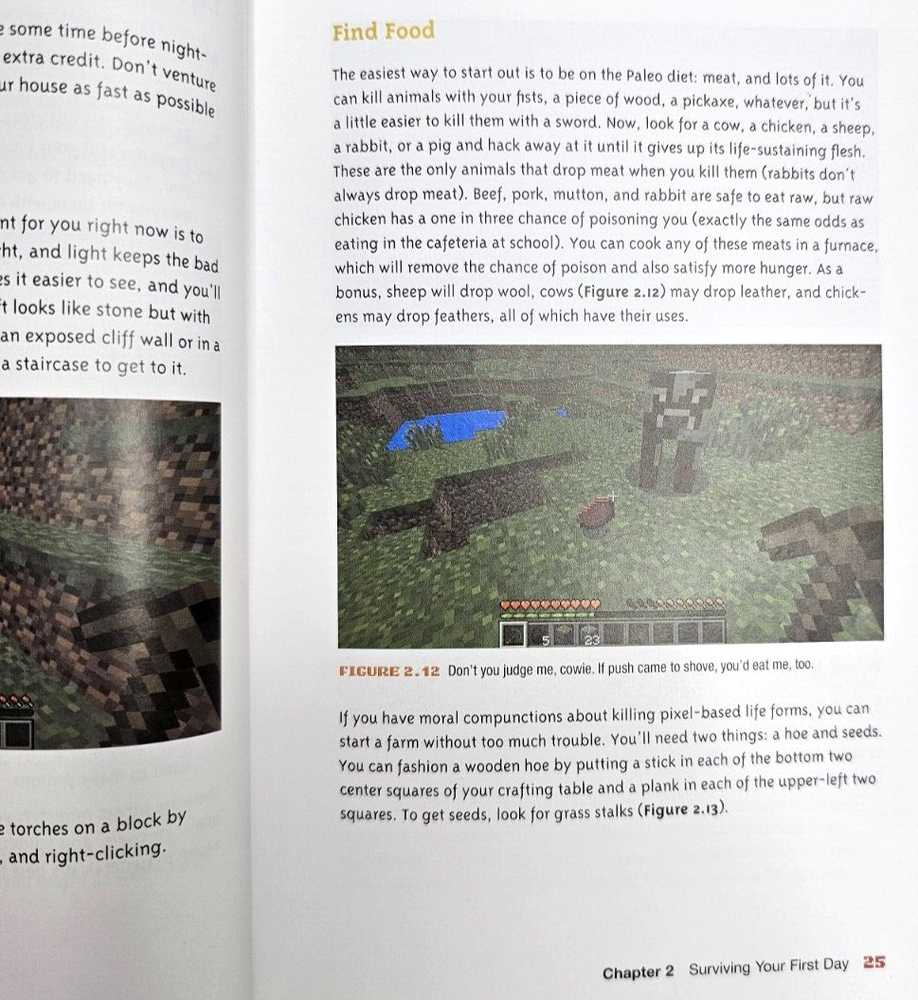 2015 Visual Guide to Minecraft Tips Hints Projects Clark Dunsmann Moltz Book