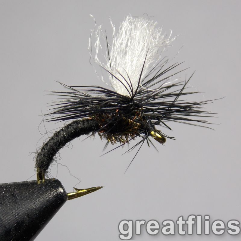 1 dozen (12) - Klinkhammer - Black