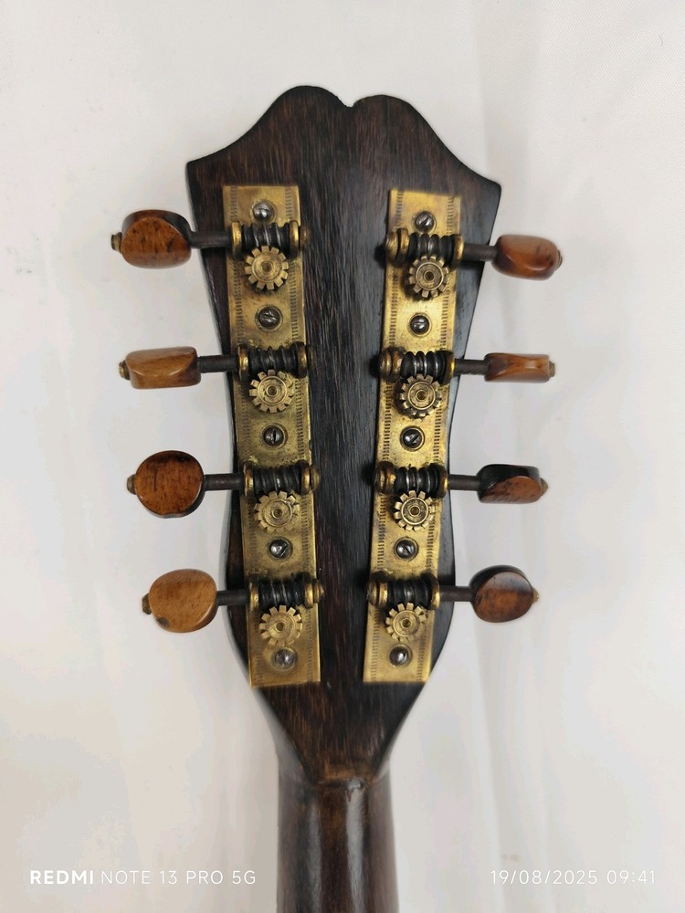 Mandolin 4/4 Alberti 1910 Rome 曼陀林 만돌린マンドリン