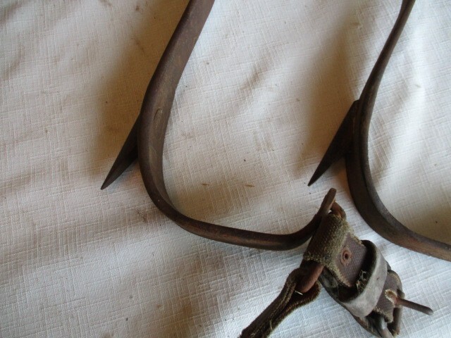 Vintage Buckingham #9727 Climbing Gaffs With Belt