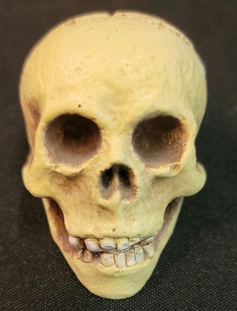 10 Piece Skull Lot