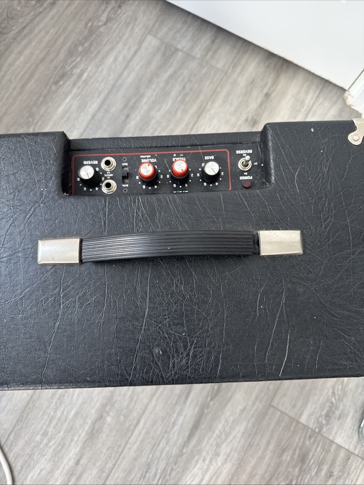 Polytone Mini Brute IV Rebuilt