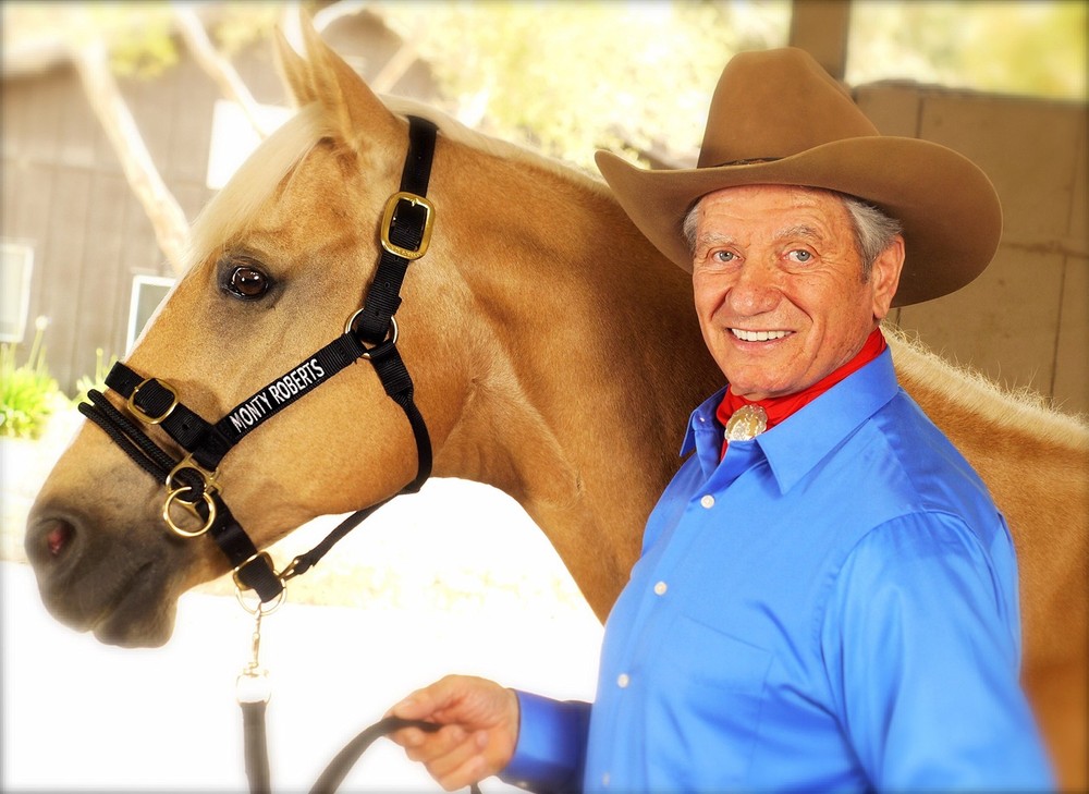 Monty Roberts Dually Headcollar ys/m