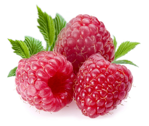 2X Advanced Weight Loss RASPBERRY KETONE Extremely Fast Acting Fat Burner Strong