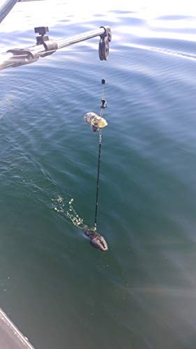 Downrigger Snubber Twin Pack, Black