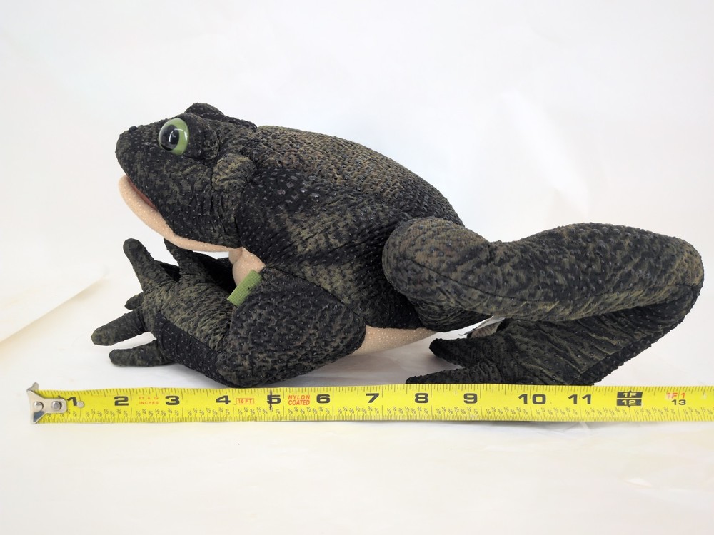 Folkmanis Frog Puppet Plush Toad Full Body Hand Puppet Bumpy Green Creative Play