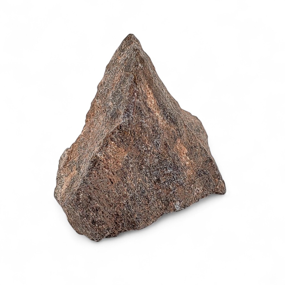 Jurassic Dinosaur Fossil Bone from Morrison Formation Includes Display