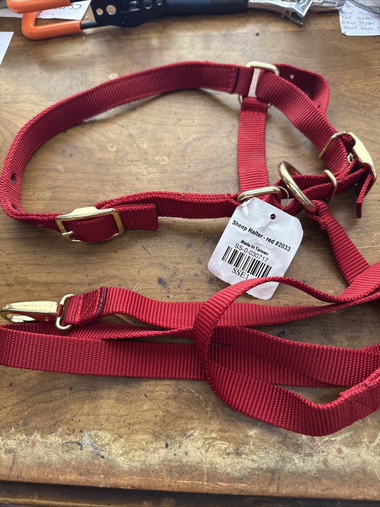 Sheep Halter With Lead —Red
