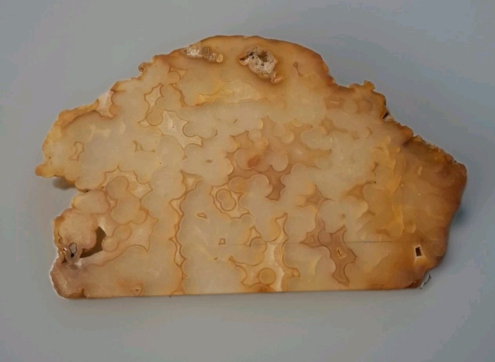 Orange Tinged Plume Agate Slab