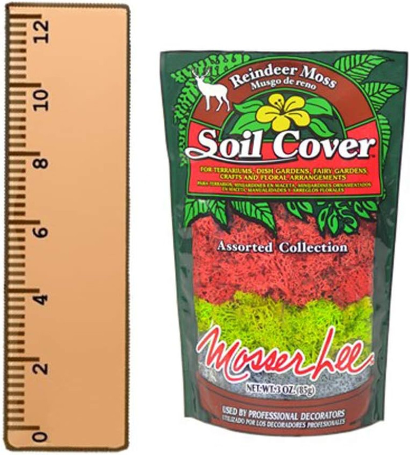 ML3020 Assorted Reindeer Moss, 3 Oz.
