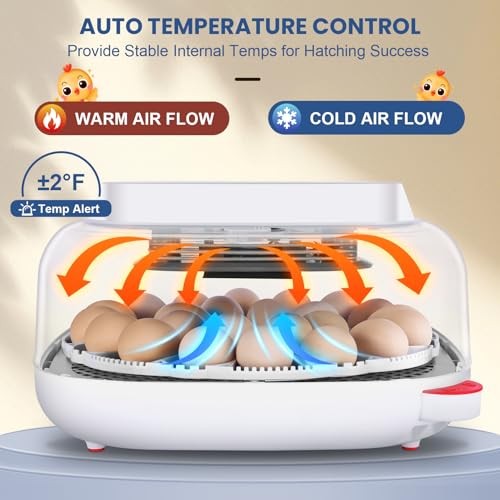 24 Egg Incubators for Hatching Eggs - Automatic Temperature Control and Blue