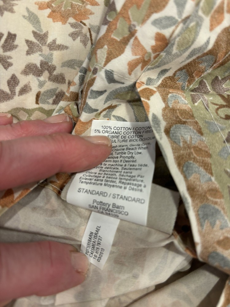 2 Pottery Barn Agatha Paisley Standard shams