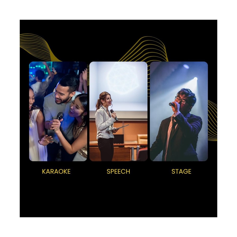 Dual Wireless Microphone System Auto-Scan Long Range Mic Set with Receiver, L...