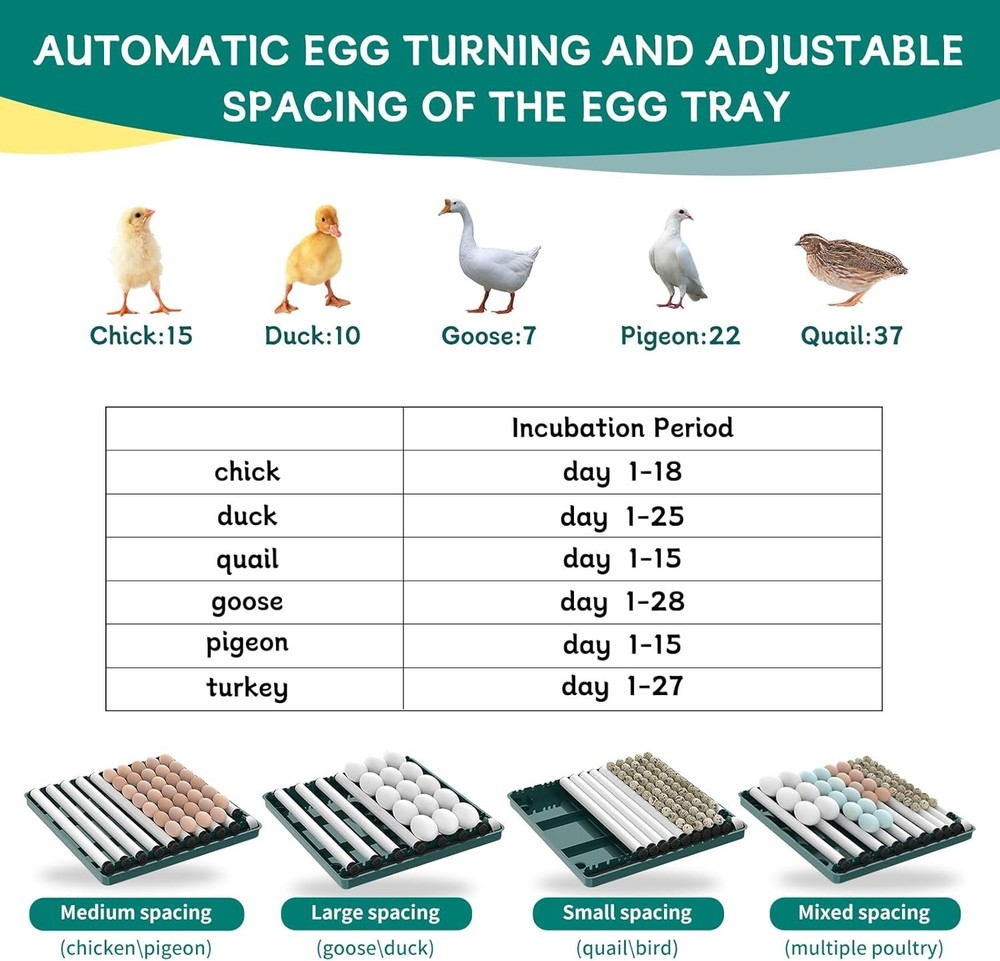 Automatic Egg Incubator 12-38 Eggs Automatic Poultry Intelligent Incubator fo...