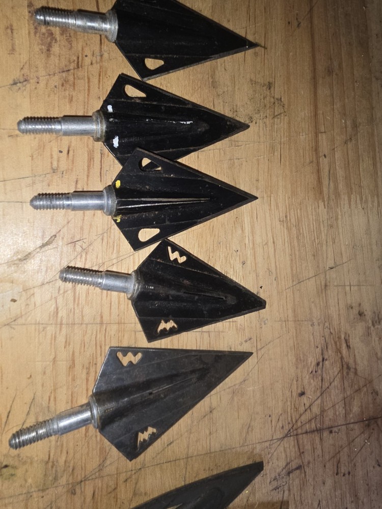 Bear Razor Head Magnus Fixed Blades