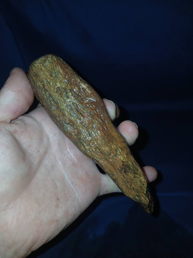10.5 oz Texas Petrified Wood