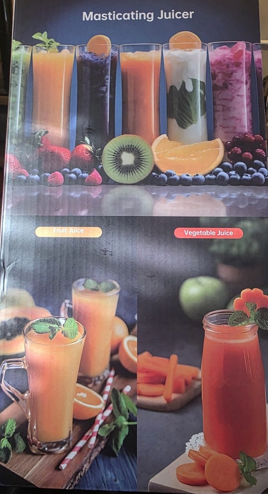 IUPI masticating juicer