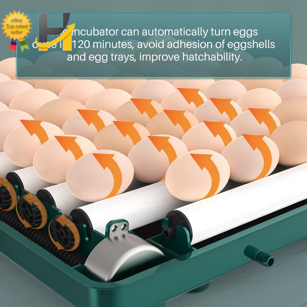 Automatic Egg Incubator 38 Egg Digital Poultry Hatcher Machine Automatic Egg Tur