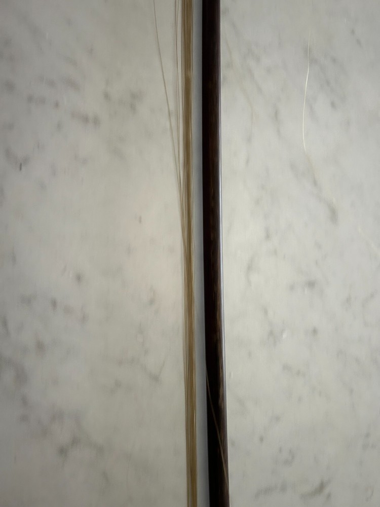 Violin Bow
