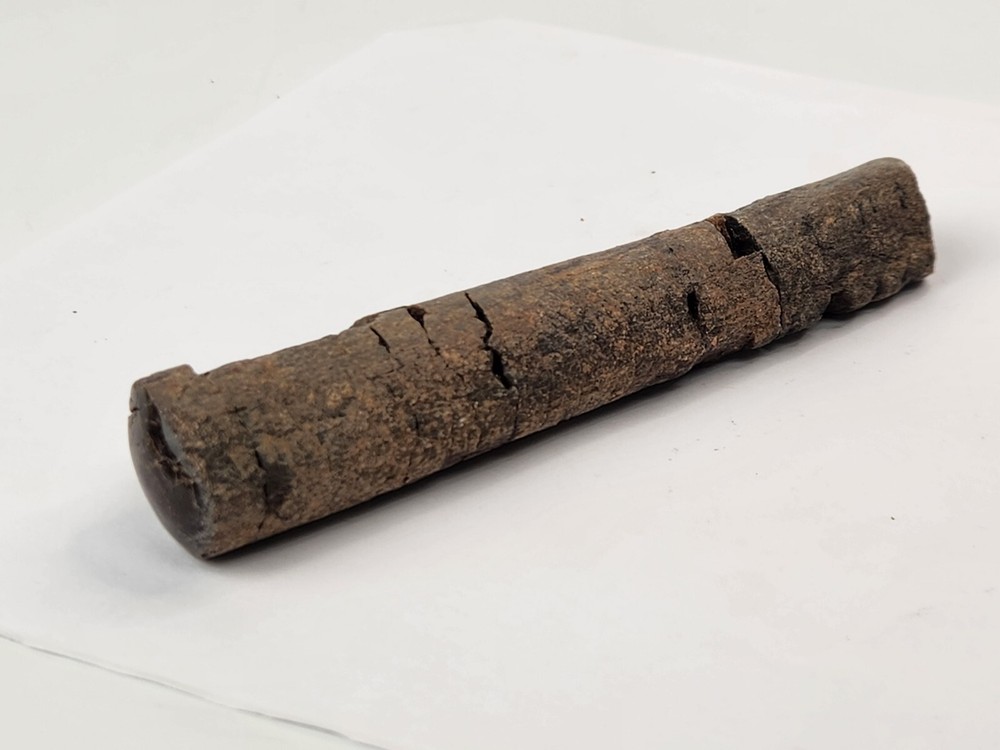 Polished Dinosaur Bone (Rib?) Fossil - Morrison Fm.