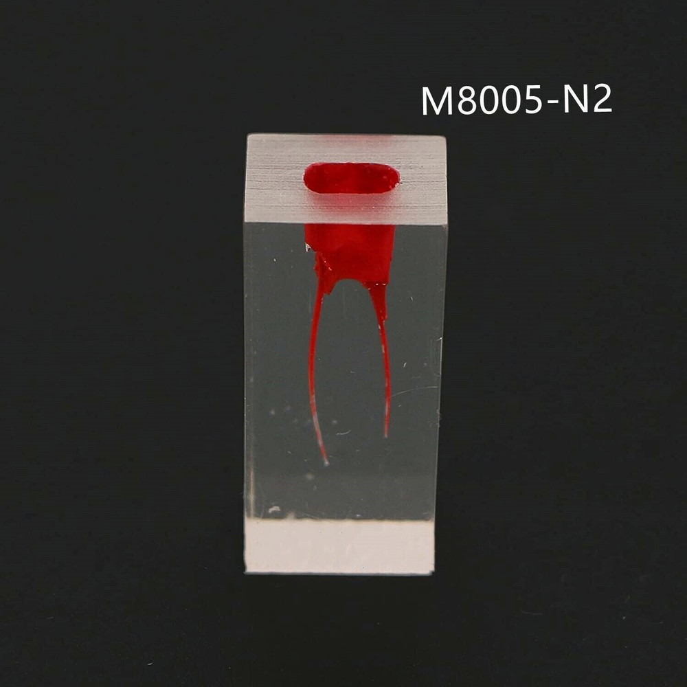 Dental Resin Training Study Endo Root Canal Teeth Model Practice Block RCT Pulp