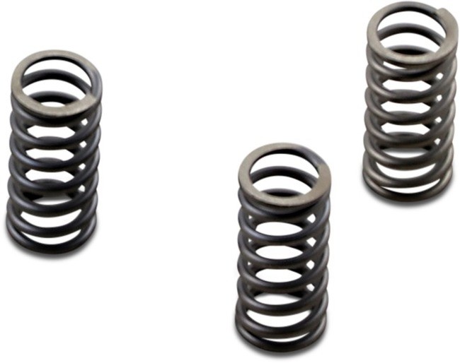 CSK Coil & Diaphragm Spring Kit EBC CSK236