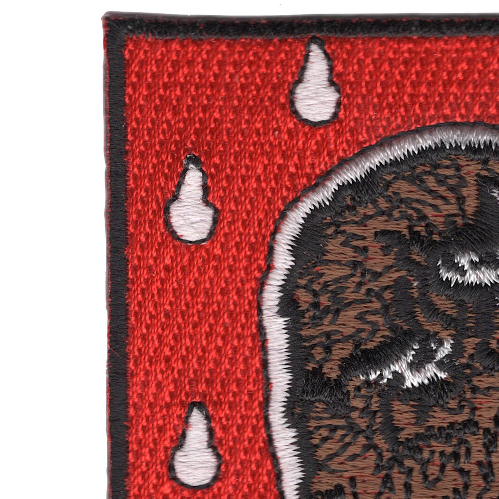 402nd Engineer Battalion Patch