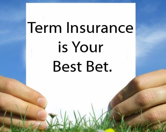eterminsuance .com -  Easy to Remember Insurance Domain Name