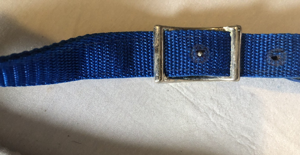 Fabtron Sky Blue Nylon Web Felt-Lined Comfort Breast Collar