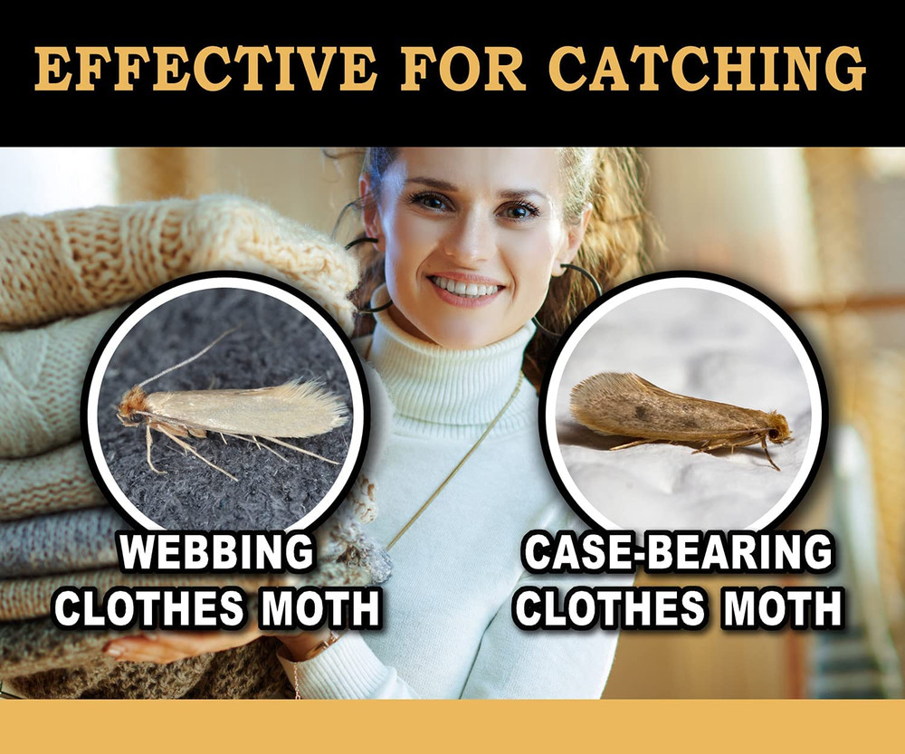 Maxguard Clothes Moth Traps (6+2 Free Traps) with Extra Strength Pheromones | N